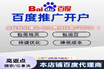 某公司网站sem托管项目纪实